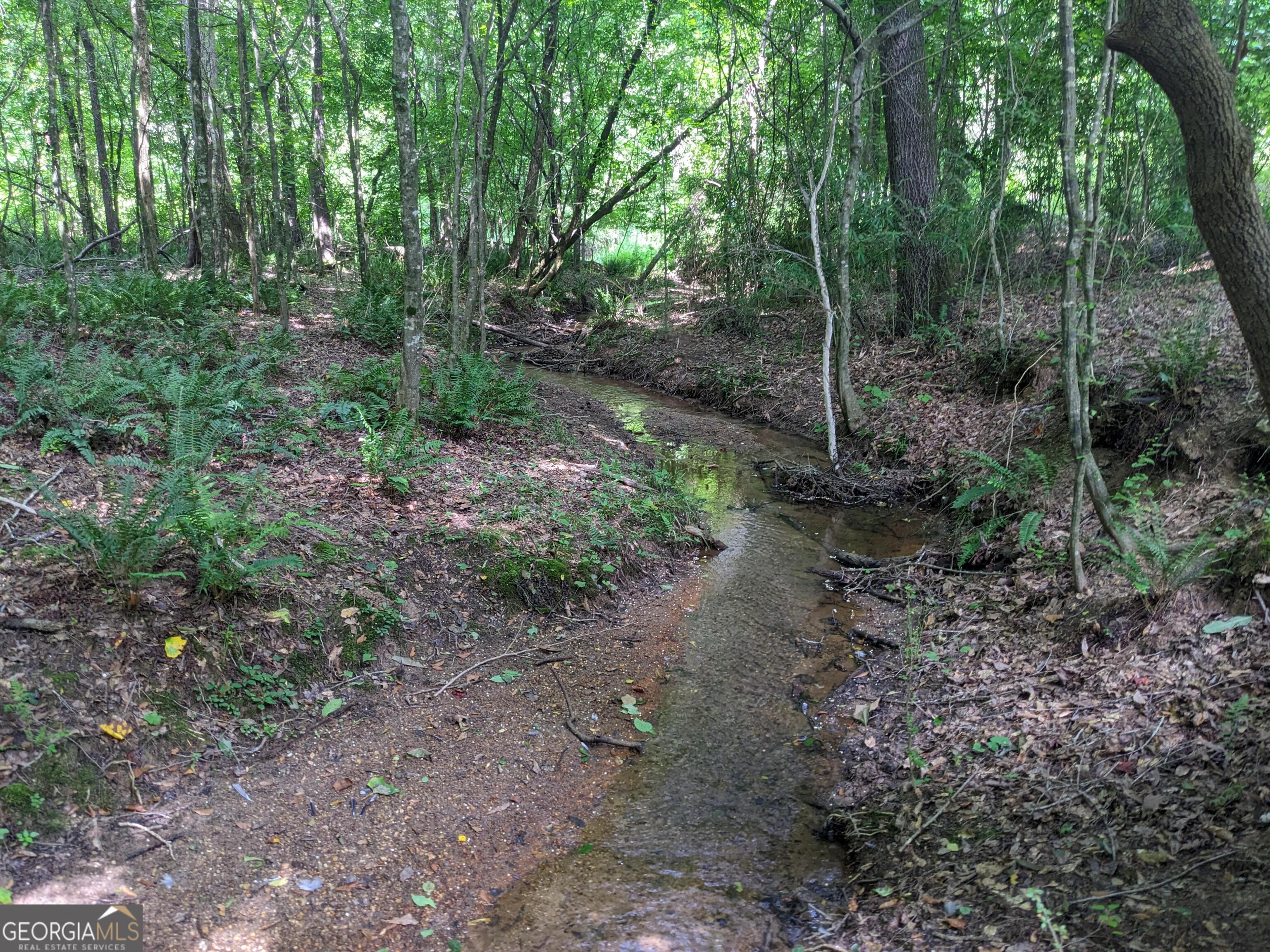 1949 Highway 29 N Danielsville GA 30633
