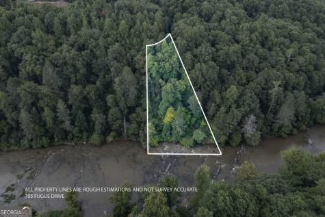 795 Fugue Drive Ellijay GA 30540