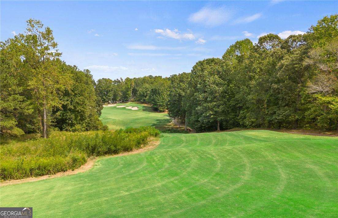 7294 Thistle Down Way Flowery Branch GA 30542