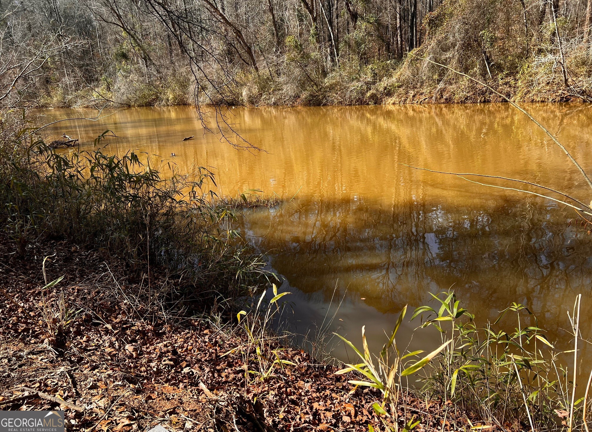 1918 Woodland Road Thomaston GA 30286