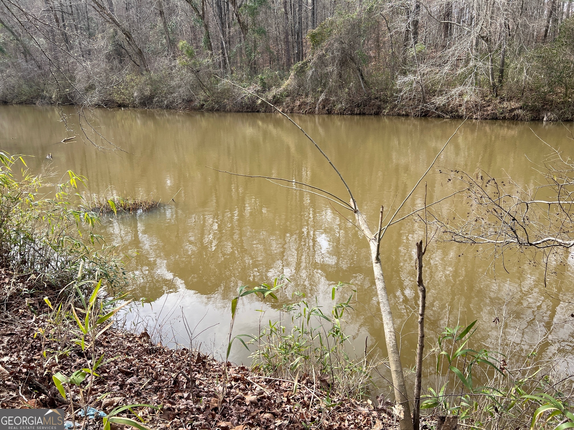 1918 Woodland Road Thomaston GA 30286