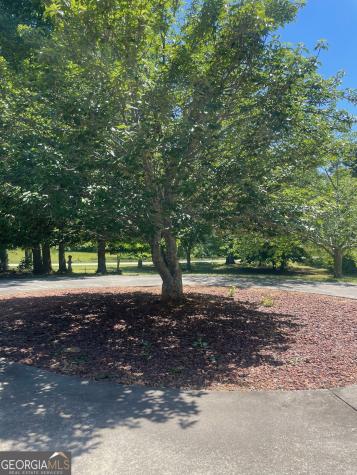 1545 Sam Bell Road Clarkesville GA 30523