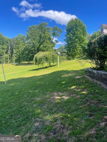 1545 Sam Bell Road Clarkesville GA 30523