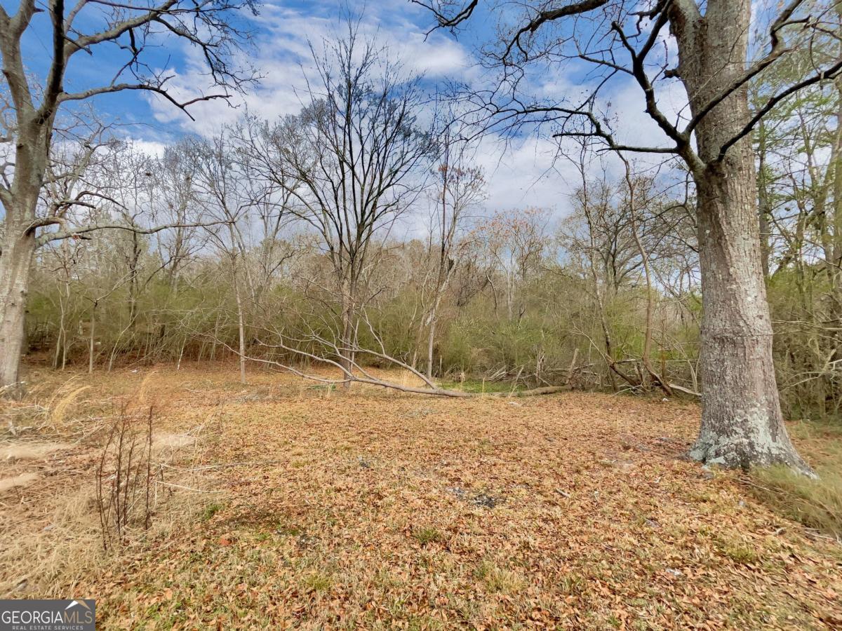 1271 Della Slaton Road Comer GA 30629