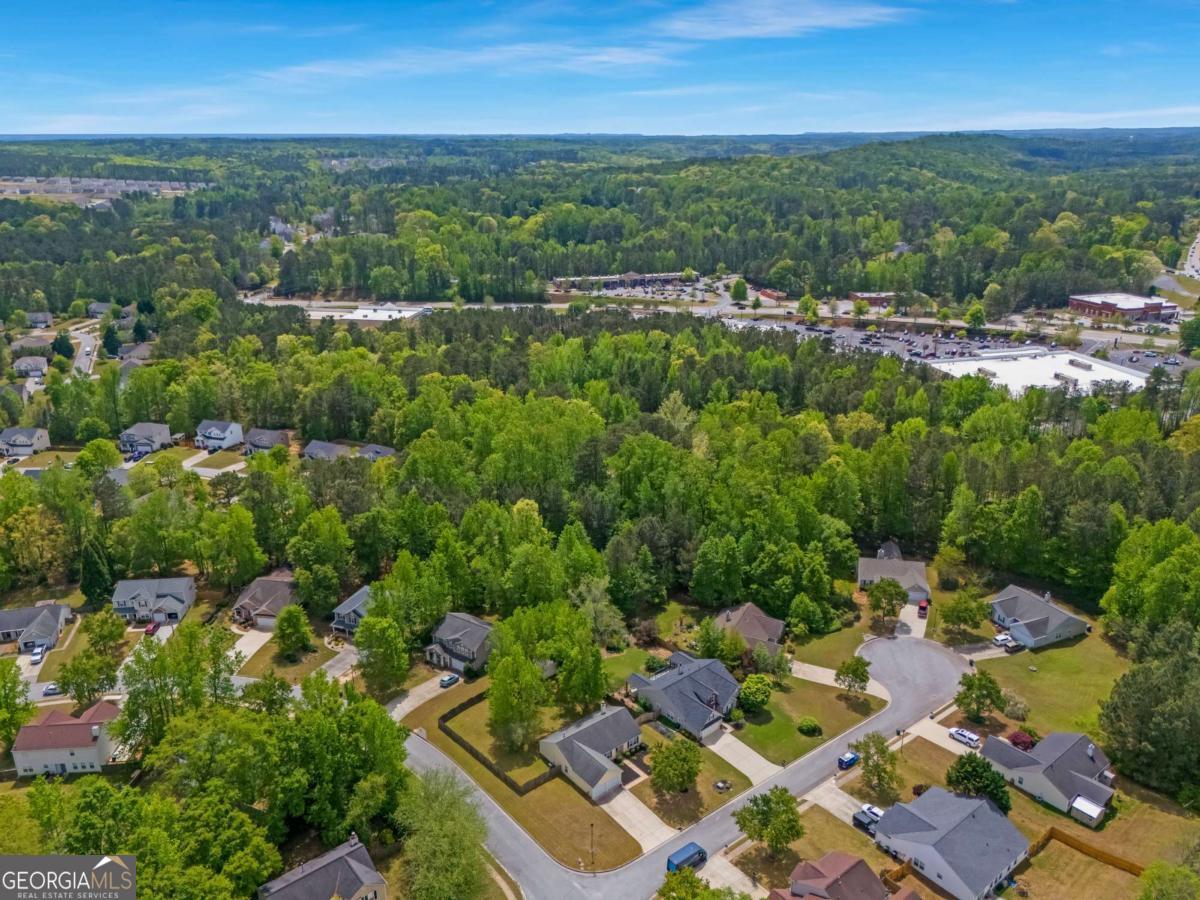 11 Fern Leaf Court Dallas GA 30157