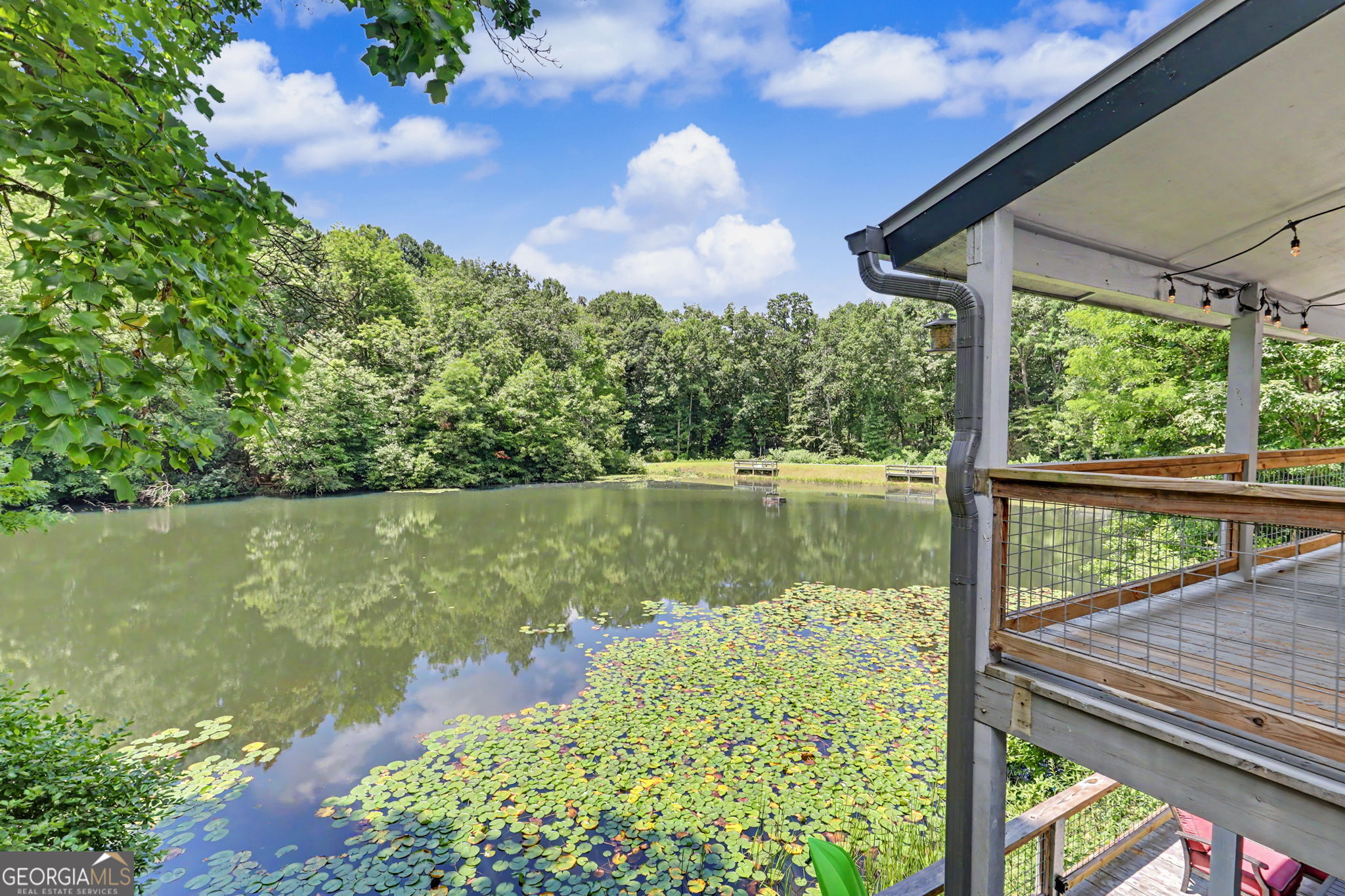 181 Dam Lake Drive Dillard GA 30537