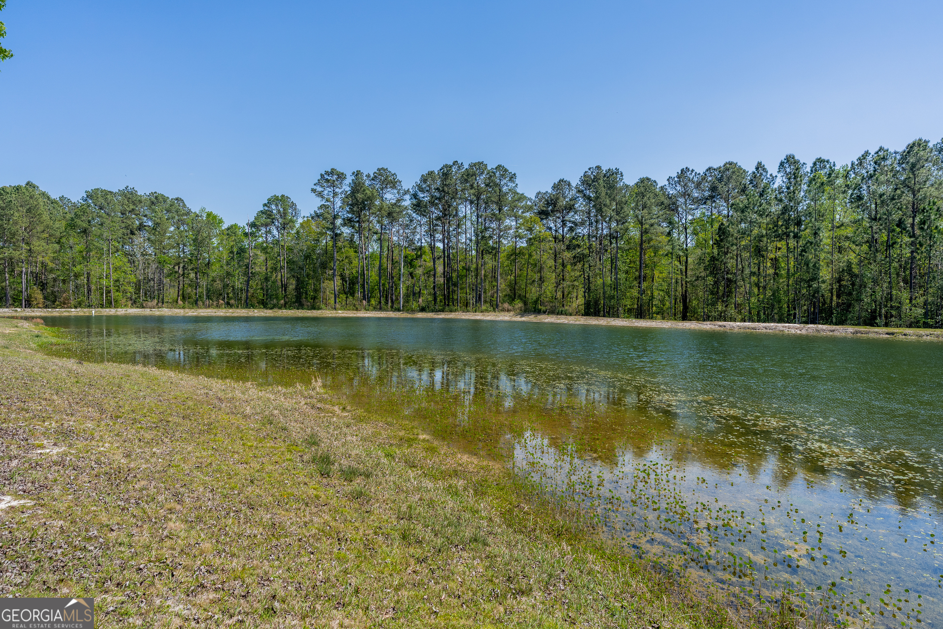 3642 Tanner Lane Waycross GA 31503
