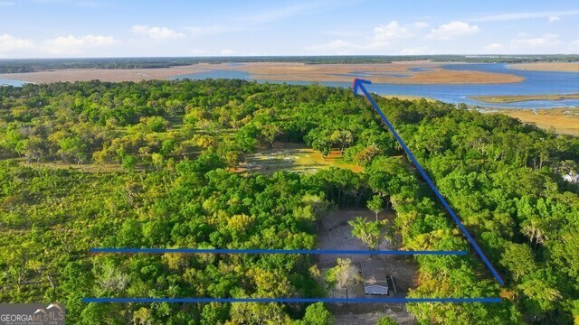 2099 Susie Baker Road NE Townsend GA 31331