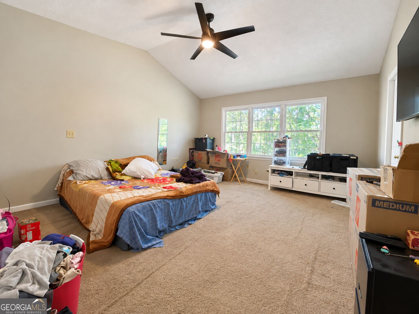 1323 Smokerise Lane Auburn GA 30011