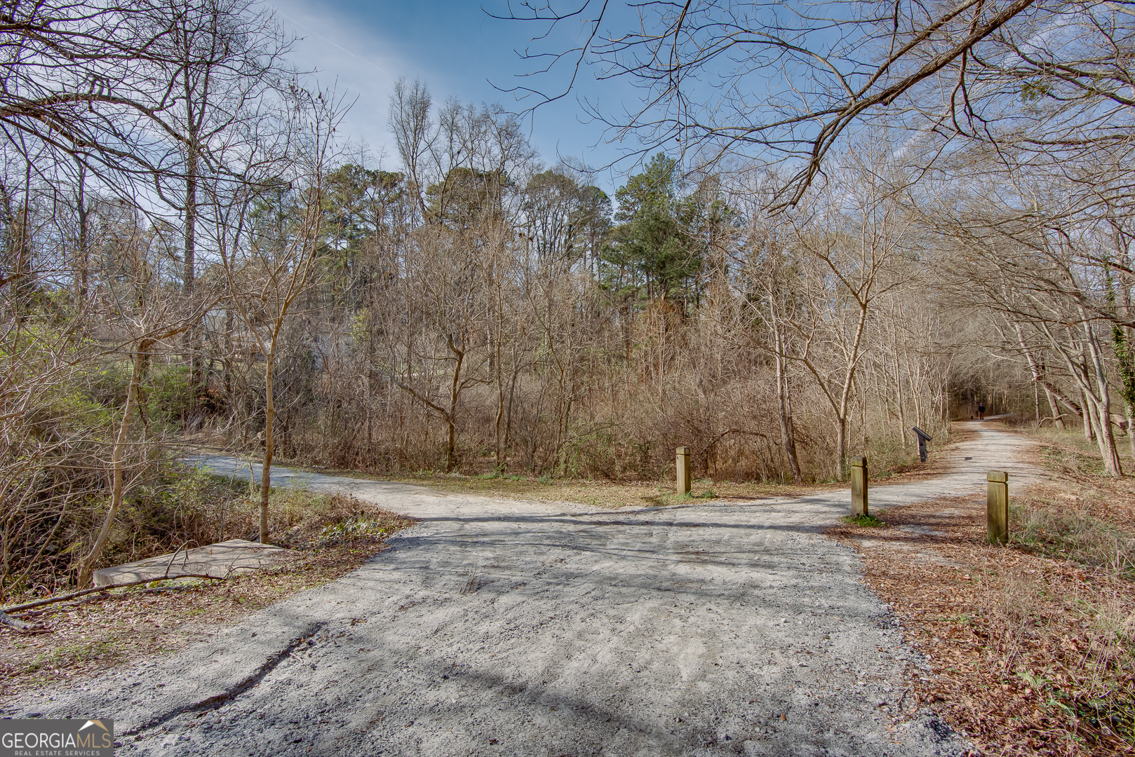 4651 Dahlia Drive Pine Lake GA 30072