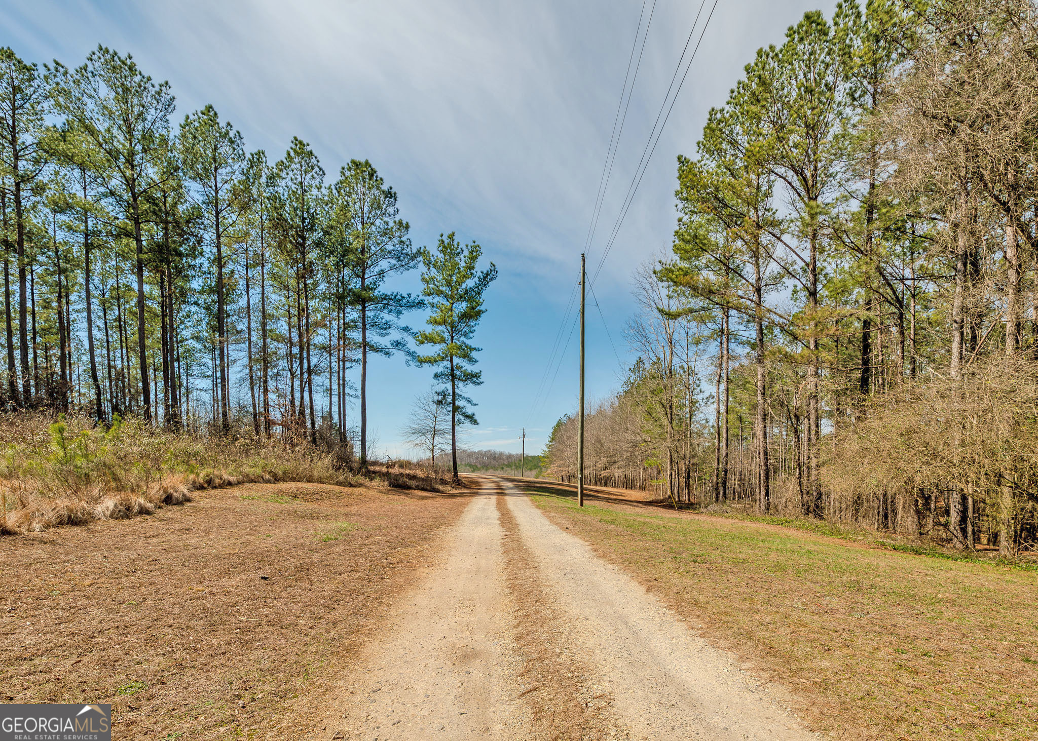 1363-A Mcfarlin Bridge 25 Acres Carnesville GA 30521