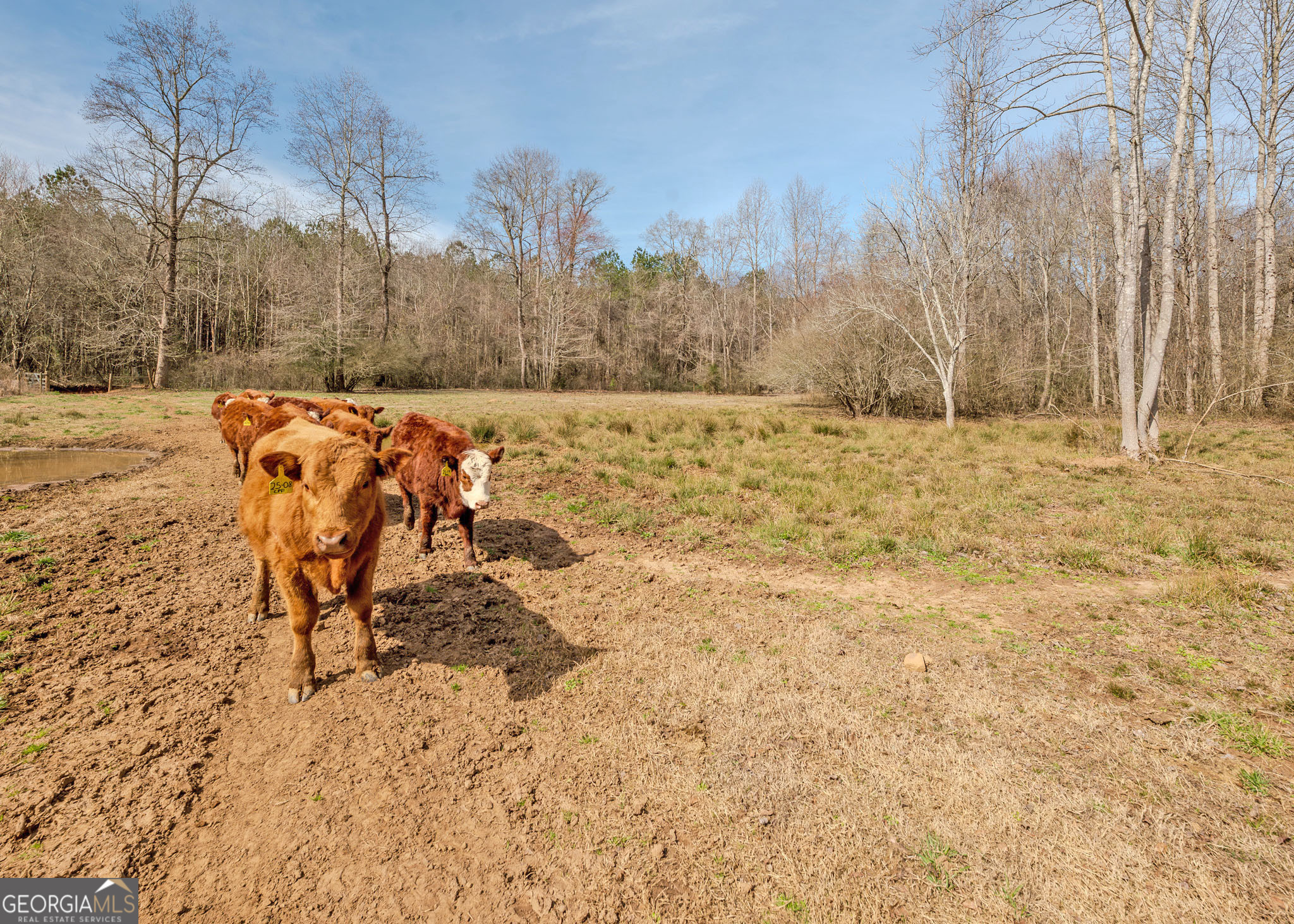 1363-A Mcfarlin Bridge 25 Acres Carnesville GA 30521