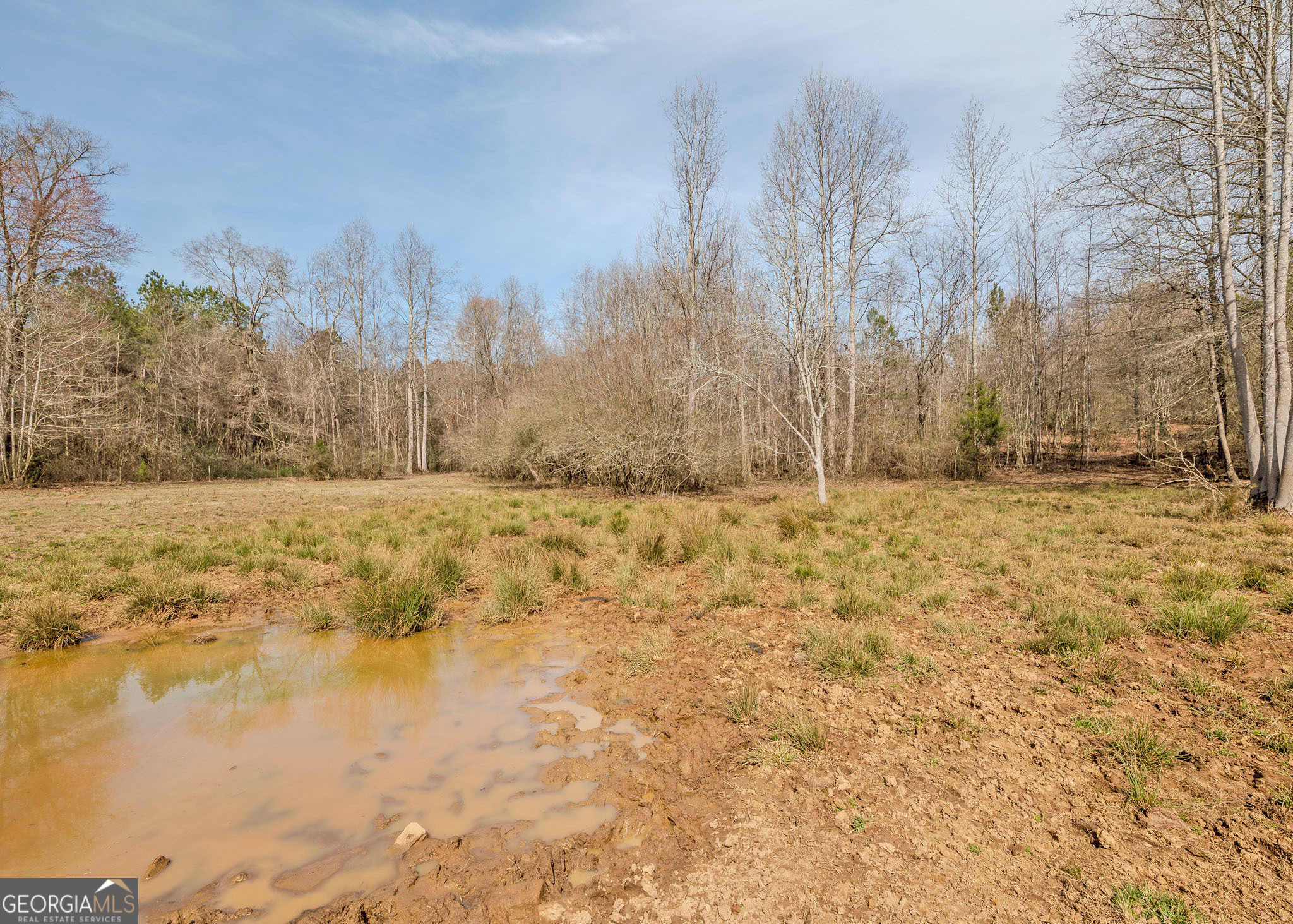 1363-A Mcfarlin Bridge 25 Acres Carnesville GA 30521