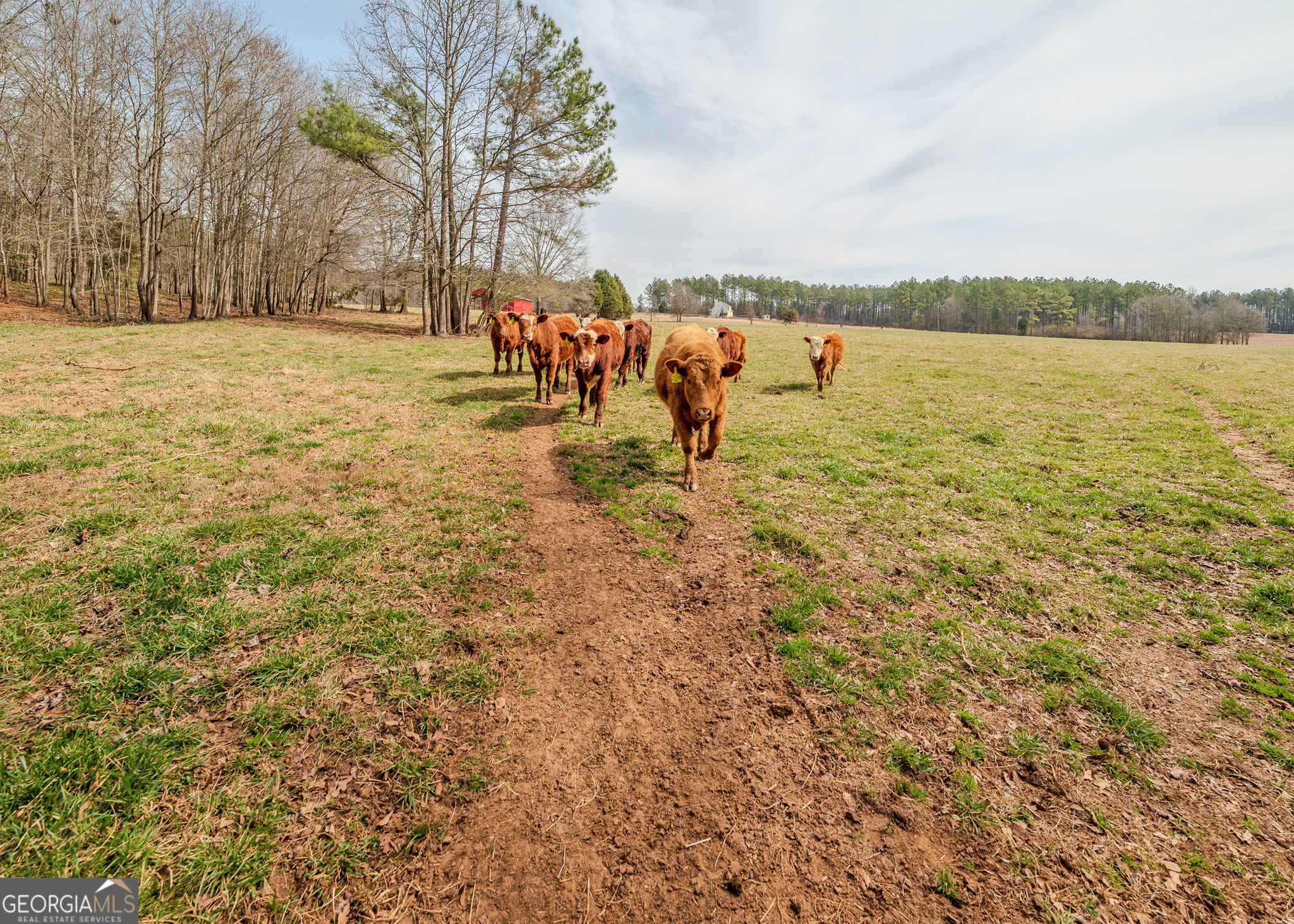 1363-A Mcfarlin Bridge 25 Acres Carnesville GA 30521