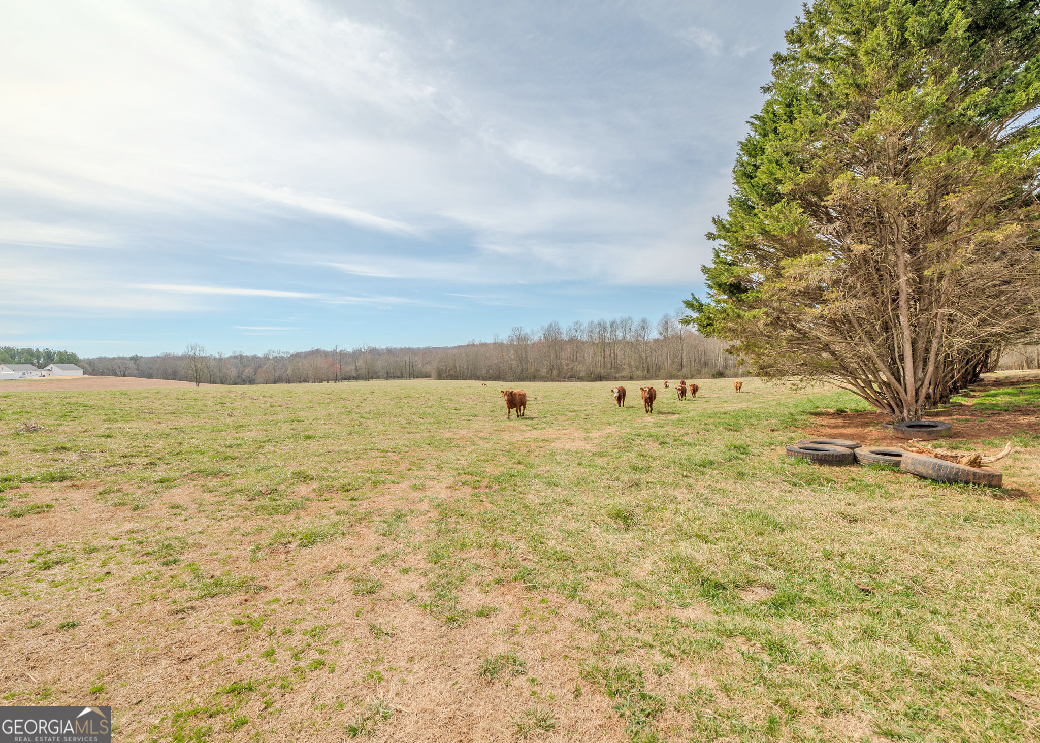 1363-A Mcfarlin Bridge 25 Acres Carnesville GA 30521