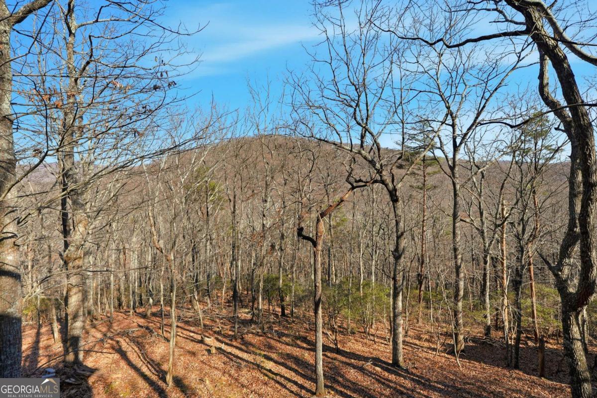 408 Alpine Drive Jasper GA 30143