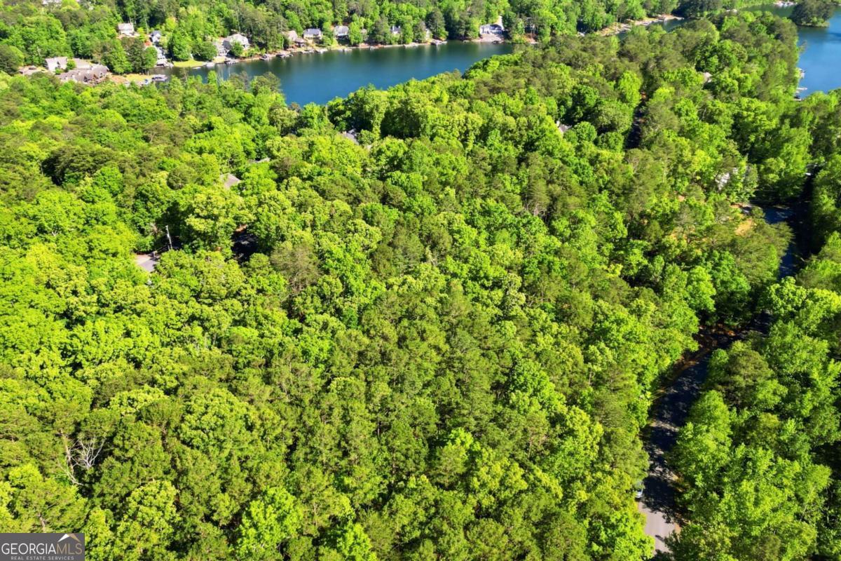 147 Lone Bear Drive Waleska GA 30183