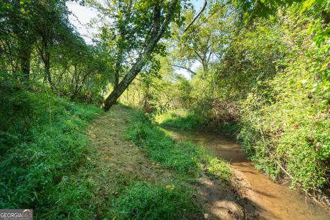 629 Crane Trail Cleveland GA 30528