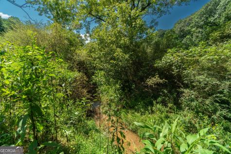629 Crane Trail Cleveland GA 30528