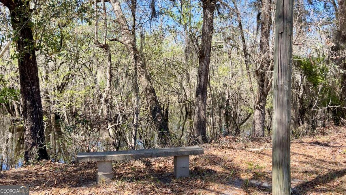265 Big Cypress Drive Bloomingdale GA 31302