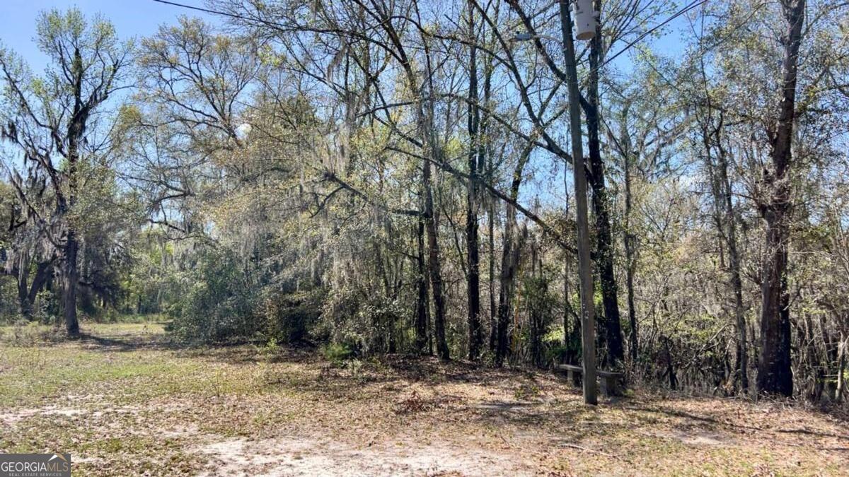 265 Big Cypress Drive Bloomingdale GA 31302