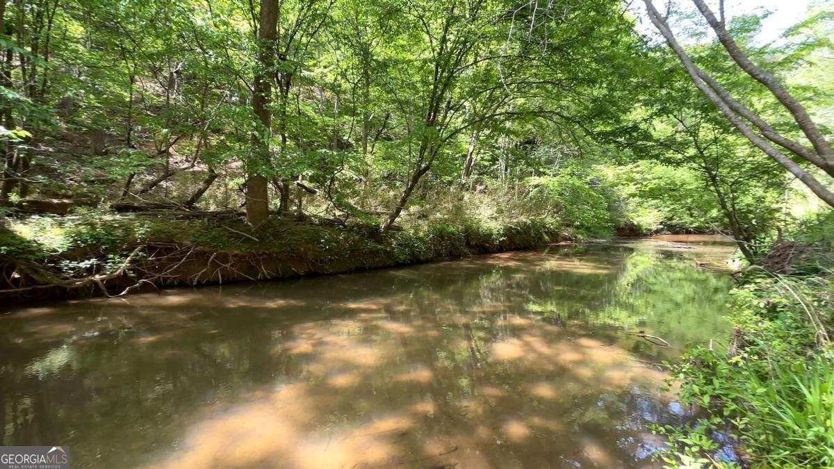 25 Mountain Creek Trail NE Fairmount GA 30139
