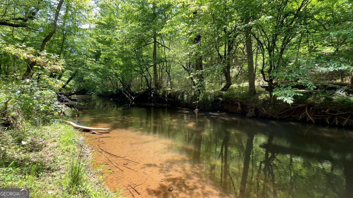 25 Mountain Creek Trail NE Fairmount GA 30139