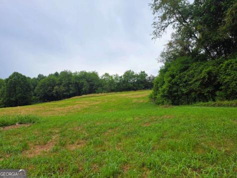 2490 New Hope Road Morganton GA 30560