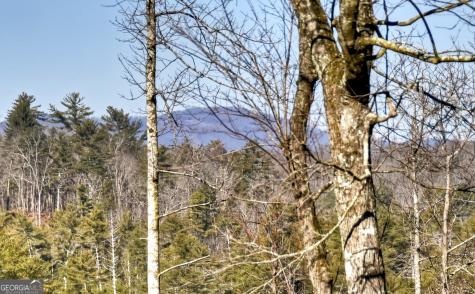 1312 Hicks Ford Road Ellijay GA 30540