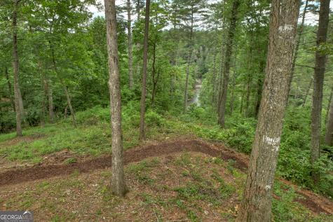 1312 Hicks Ford Road Ellijay GA 30540