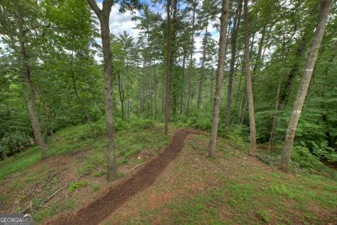 1312 Hicks Ford Road Ellijay GA 30540
