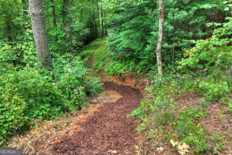 1312 Hicks Ford Road Ellijay GA 30540