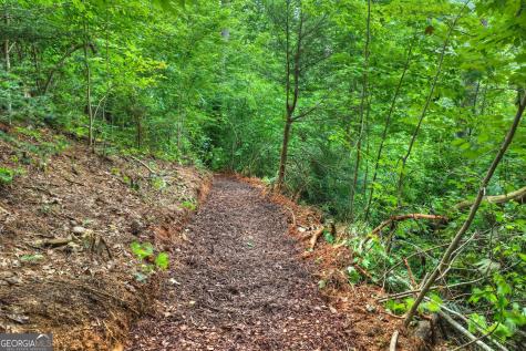 1312 Hicks Ford Road Ellijay GA 30540