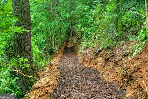 1312 Hicks Ford Road Ellijay GA 30540