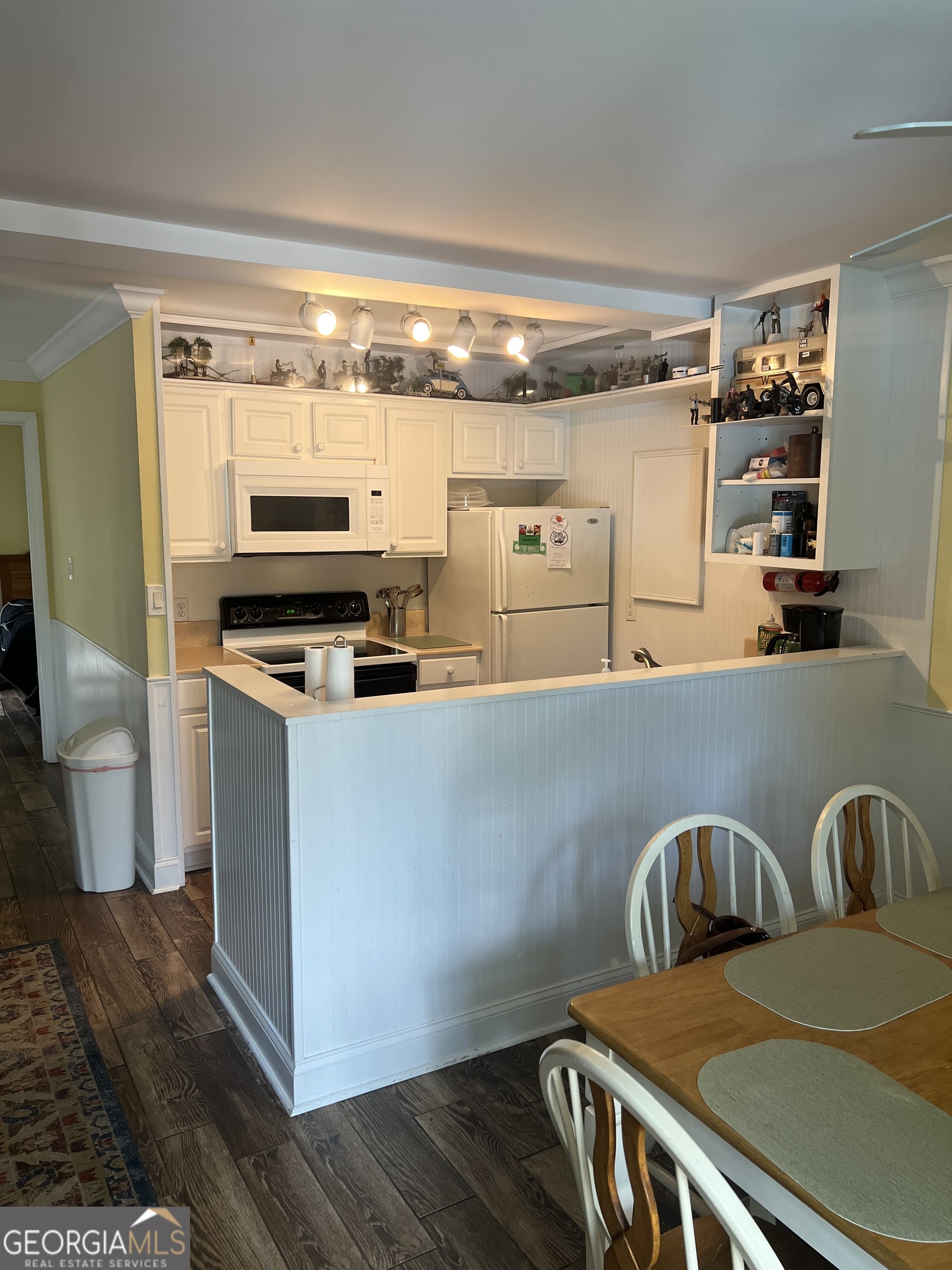 1175 N Beachview Drive Jekyll Island GA 31527