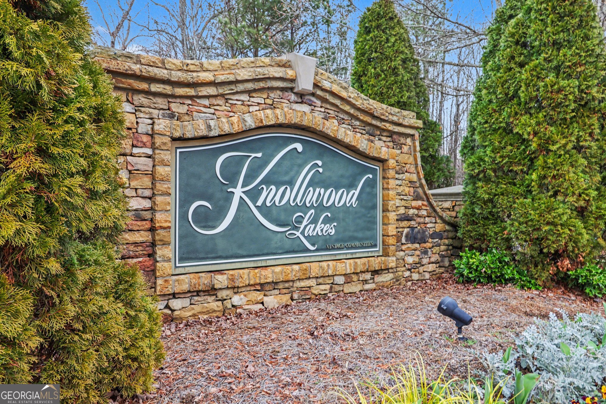 1239 Wood Iris Lane Lawrenceville GA 30045
