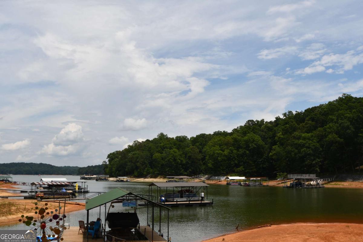 257 Lake Place Drive Lavonia GA 30553