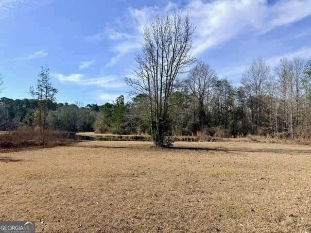 1431 Community Road Glennville GA 30427