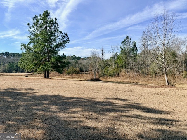 1431 Community Road Glennville GA 30427