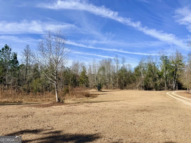 1431 Community Road Glennville GA 30427
