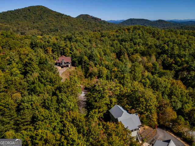 85 Foster Cove Road Blue Ridge GA 30513