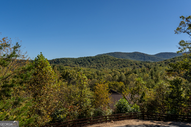 85 Foster Cove Road Blue Ridge GA 30513