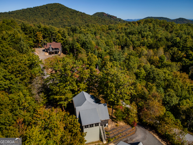 85 Foster Cove Road Blue Ridge GA 30513