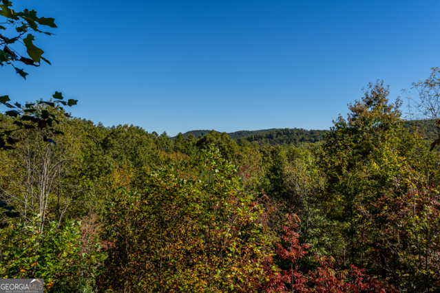 85 Foster Cove Road Blue Ridge GA 30513