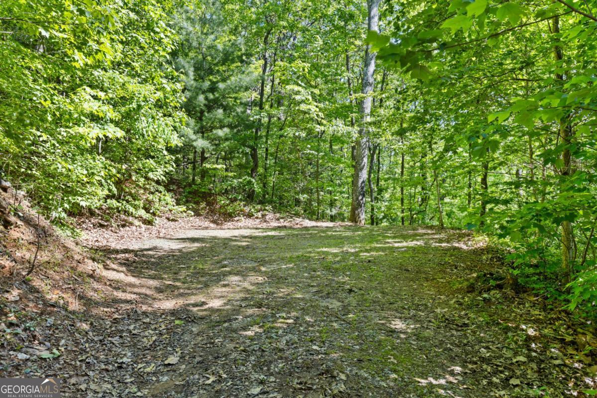 382 Highland Road Ellijay GA 30540