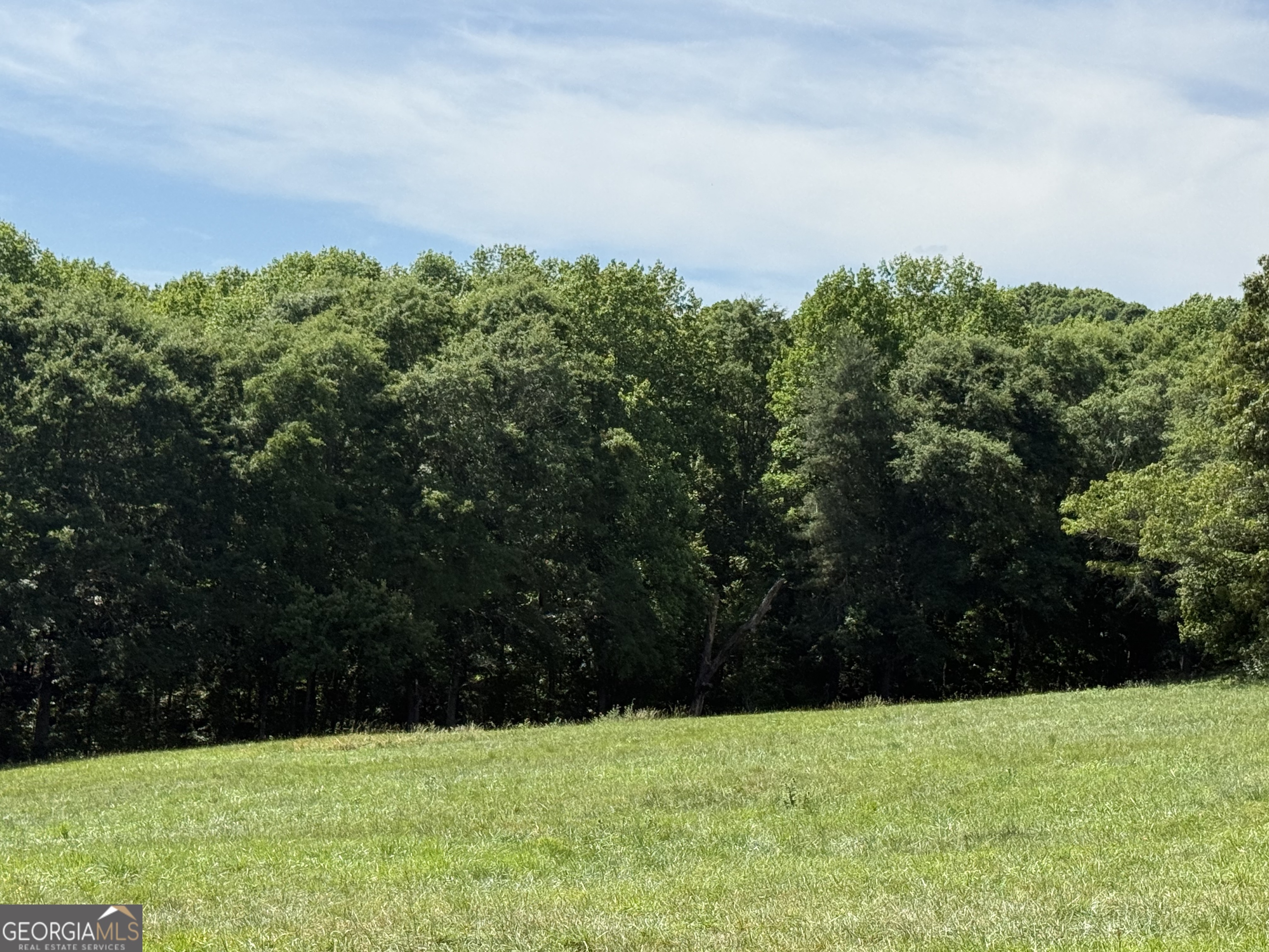 603 Wall Bridge Road Clarkesville GA 30523