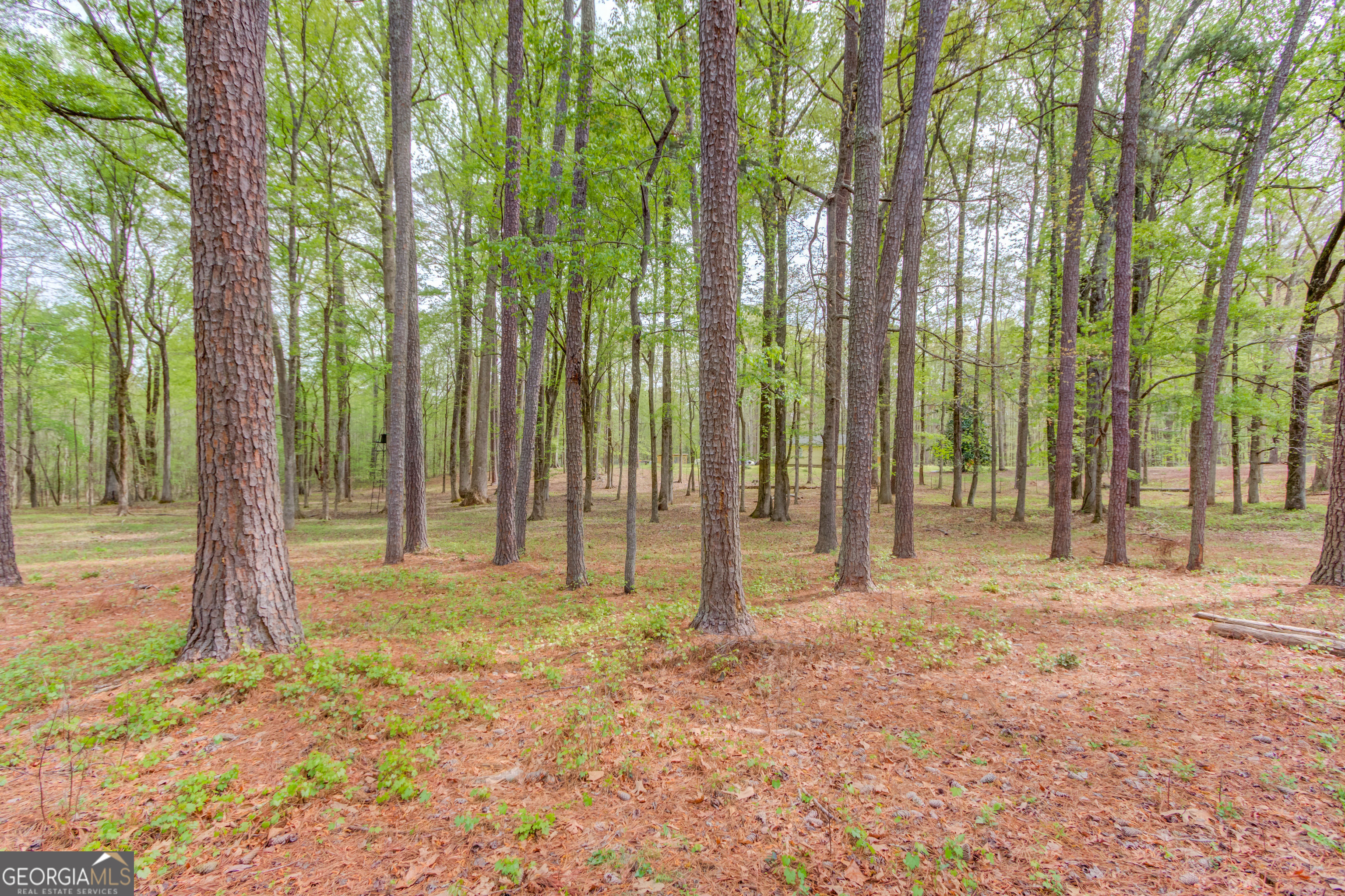 207 Boogers Hill Road Oxford GA 30054