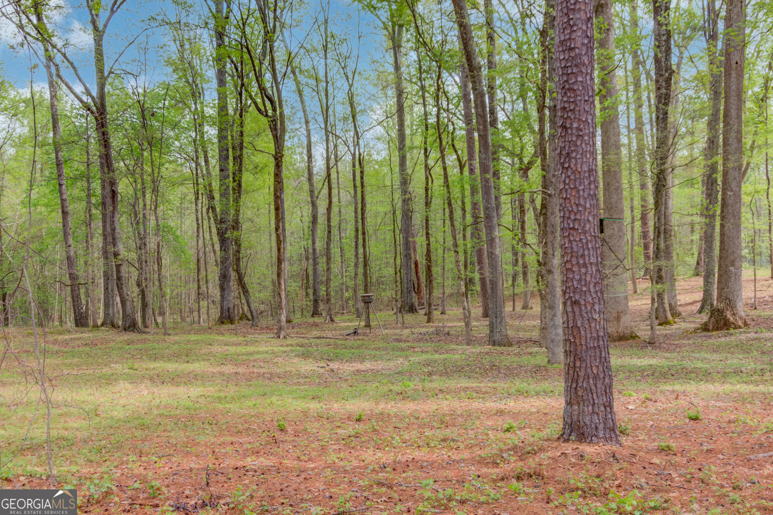 207 Boogers Hill Road Oxford GA 30054