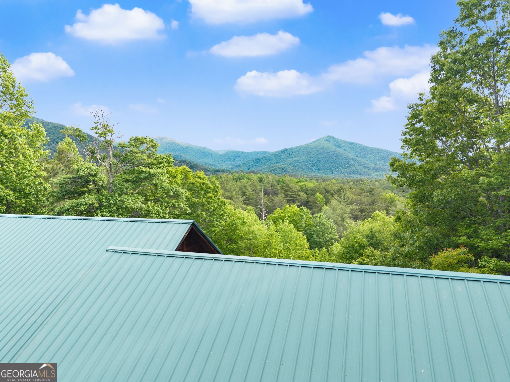 707 S Fern Cove Road Sautee Nacoochee GA 30571