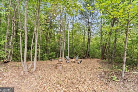 707 S Fern Cove Road Sautee Nacoochee GA 30571